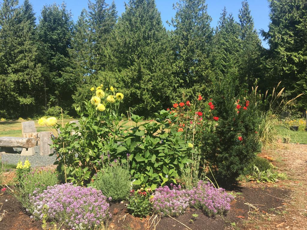 Ashling Cottage Qualicum Beach Luaran gambar