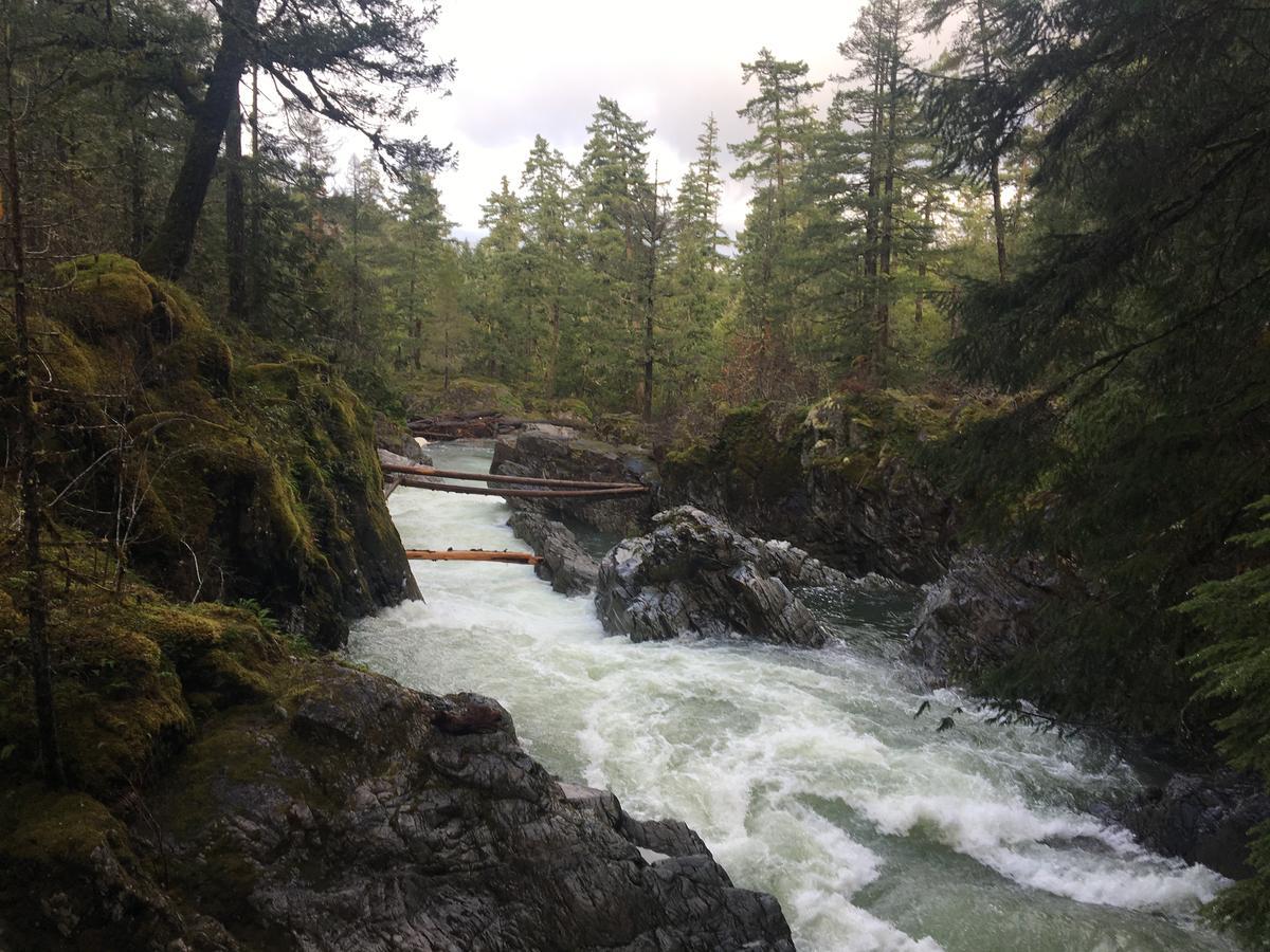 Ashling Cottage Qualicum Beach Luaran gambar