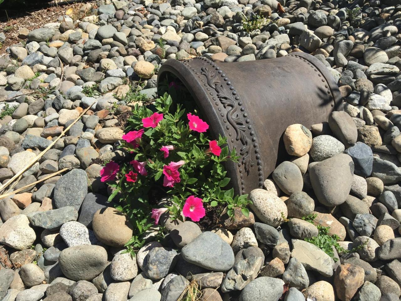 Ashling Cottage Qualicum Beach Luaran gambar
